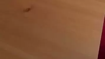 Another day, another nut for you all.