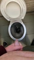 4 day load in a public toilet