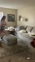 Trying to tire out my little pug before working out
