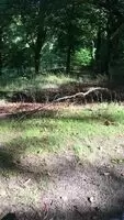 asturbating in the park, people unknowingly walking by. Pms welcome!