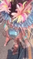 Carnival Perfection