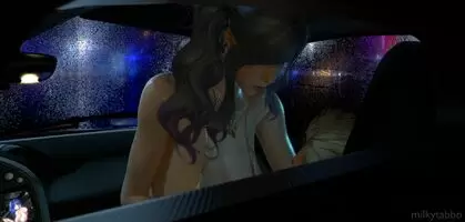 St. Louis Fucking In The Car