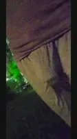 New Shorts