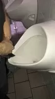 Piss together