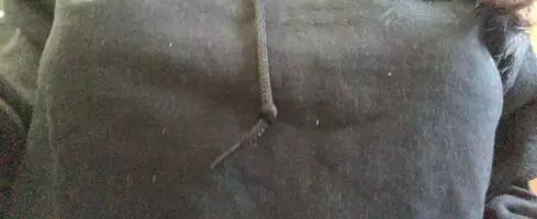 How are they?