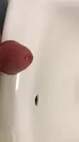 Could barely hold back