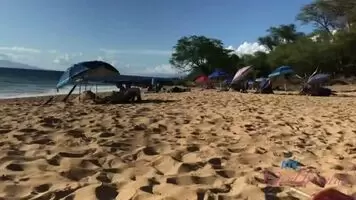 The Beach