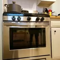 Domestic