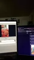 Just doing work when Janine showed up 🤷‍♂️