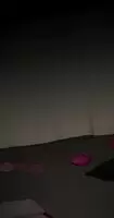 Mating Press in the Dark .