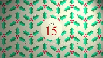 Day 15