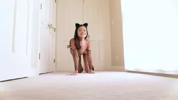Vina Sky fucked in fishnets