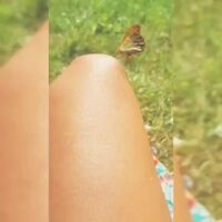 Lucky butterfly