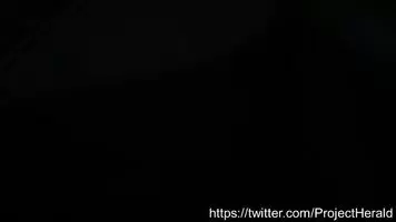 Sandy And Bioroid GIF by Alexandraus