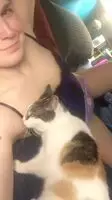 When you’re trying to be sexy but the blind pussy wants to get pet