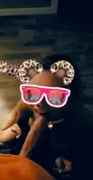 Snapchat filters are fun, but what are y'all using to edit your GIFs like pros?