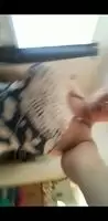 Rylee 2