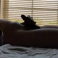 so fucking horny in this