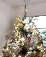 Christmas Twerk