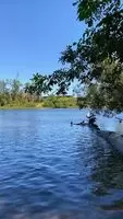Down by the river~ 🌻