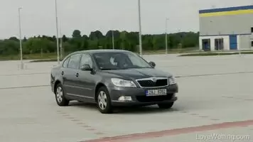 Stopping the car to go pee