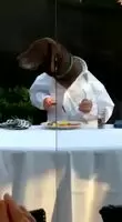 Not sure if it fits for this subreddit but it is awesome