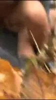 Trashy couple having fun in the park