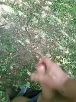 So horned after work, I had to stop on the woods for a wank on the way home!