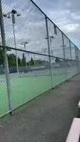 Stopped by the tennis court to play with my balls