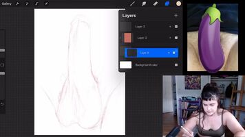 DM me for your genital portrait. Laser focus on your bits as I narrate my process. Totally custom style: Worship, SPH, Procreate tutorial. DM me