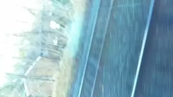 Gone Wild on the 🚆
