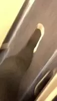 Madison Ivy on a plane showing off her goods again