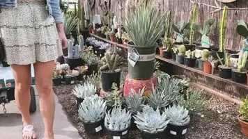 Shopping for plants with my friend Steph.