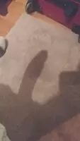 Lurking in the shadows