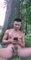 Bouncing D In The Forrest