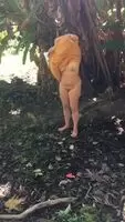 Hubby didn’t think I’d actually strip down naked during our walk in the park the other day. Silly him. I never turn down a dare... 😉