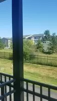 Balconies with a view are a great place to be in the nude.