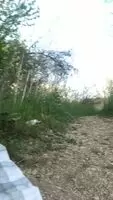 Playing with my pussy on the walking trail