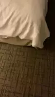 This redditor couldn’t get enough of that u/ass-for-daze