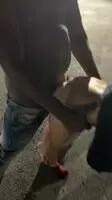 Literally in the middle of the street