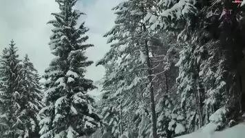 Merry Pissmas
