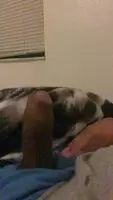 Comment what you think
