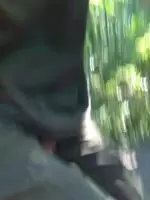 bouncy bike ride