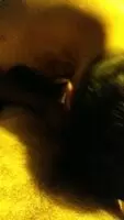 A short clip from when I first discovered I loved blowing guys