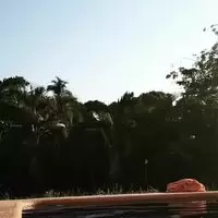 Getting out of the pool after nude swimming in the pool.