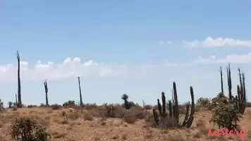 Gargling His Cum...