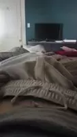 Sorry, He's Shy