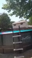 Is my back yard public enough?