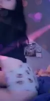Here kitty kitty