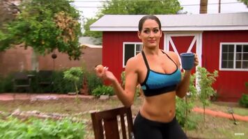 Nikki Bella would be a total dream fuck for me